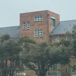 A brick building with several windows features a green door installed vertically in place of a window—a whimsical nod to Doors to Nowhere—partially hidden behind tall, leafy trees in the foreground.
