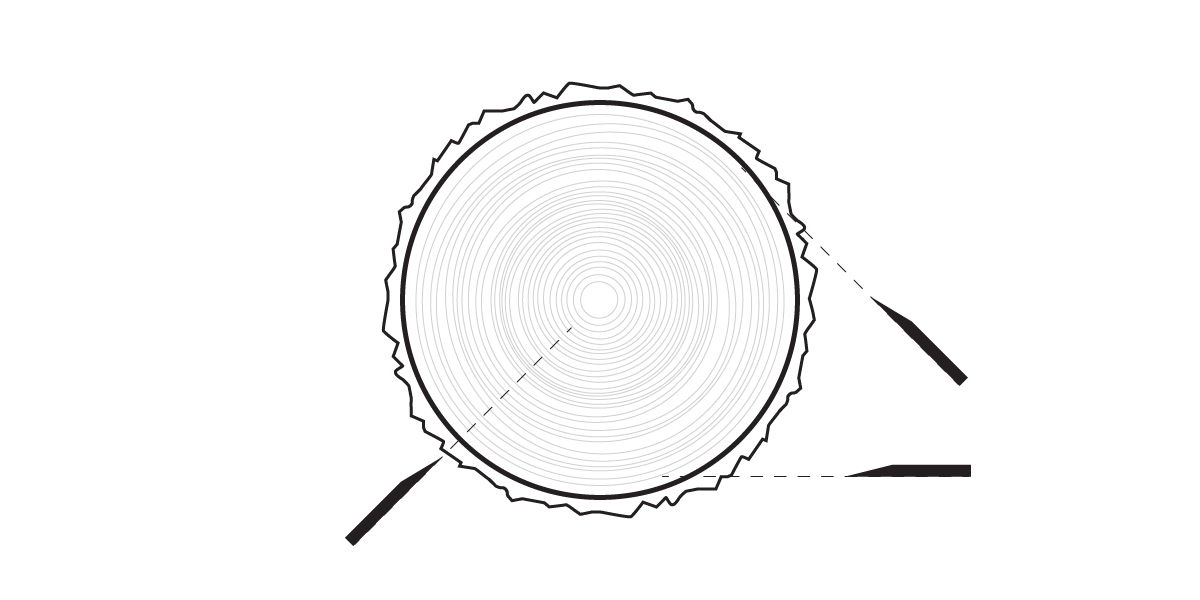 A black and white diagram of a tree trunk cross-section, often referenced in carpentry, shows annual growth rings and rough outer bark, with two arrows pointing to specific rings and bark layers—key details for understanding finish wood selection.