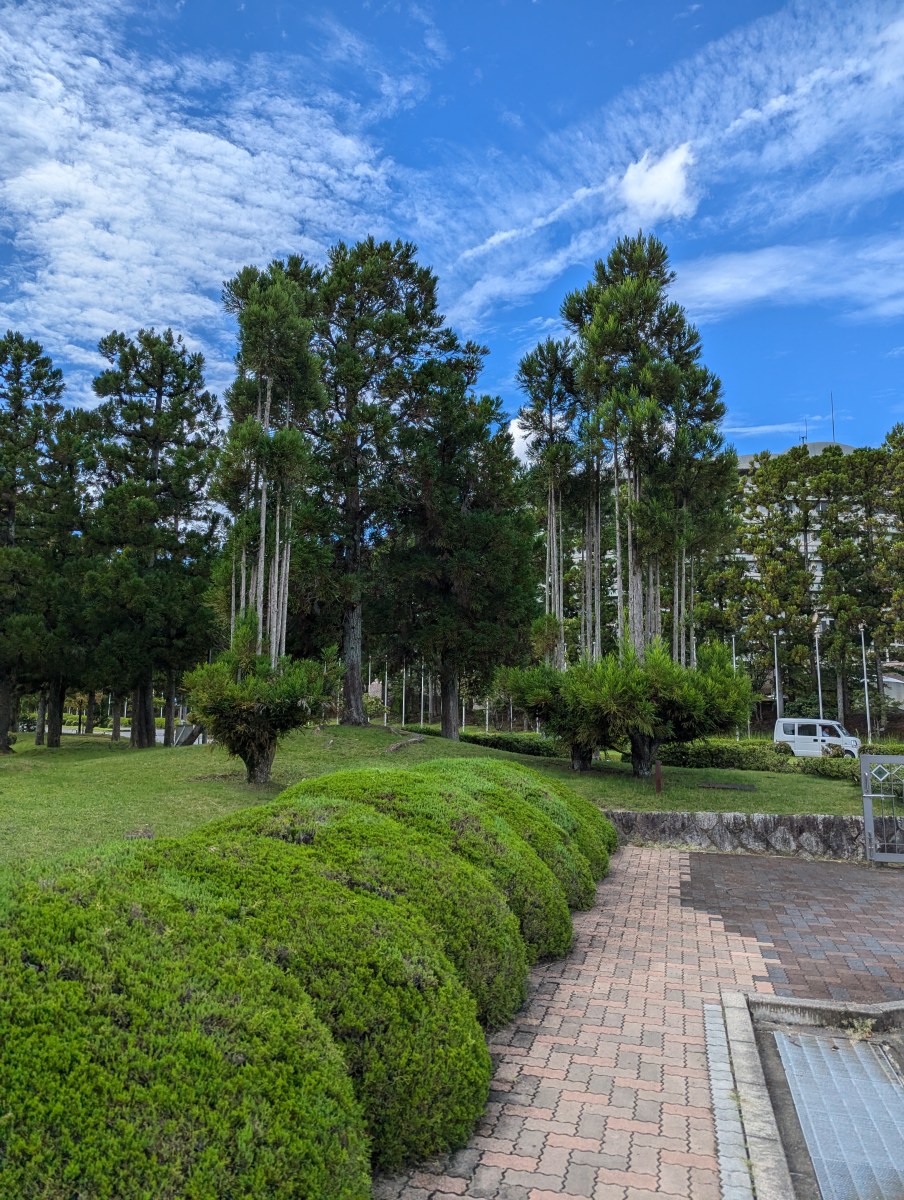 A paved walkway curves through a park with neatly trimmed green bushes and tall trees under a blue sky with scattered clouds. A parked white vehicle is visible among the trees in the background.